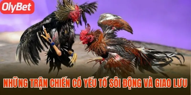 Những trận chiến có yếu tố sôi động và giao lưu